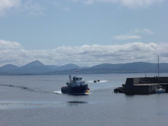 Tory Harbour View Hotel Tory Island Exteriör bild